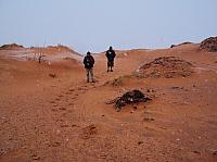 coral pink dunes (2) (Copier).JPG